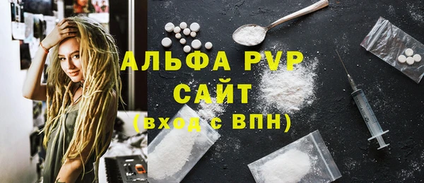 ECSTASY Бородино