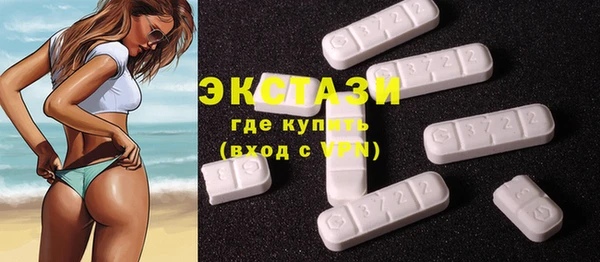 ECSTASY Бородино