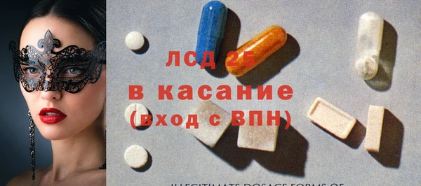 ECSTASY Бородино