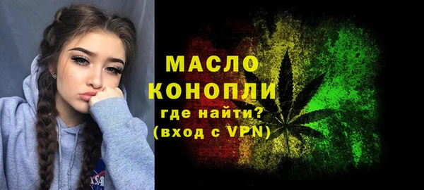 ECSTASY Бородино