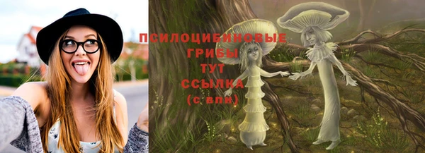 ECSTASY Бородино
