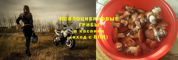ECSTASY Бородино